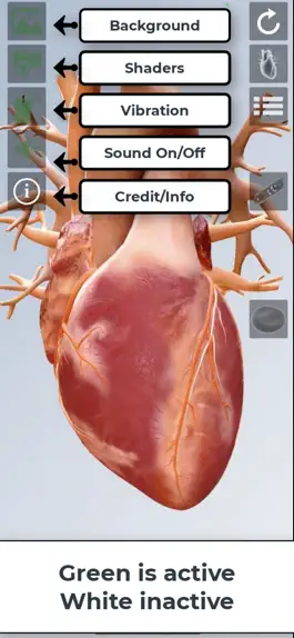 Game screenshot The Real Heart hack