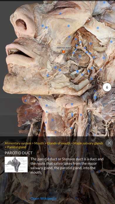 Dissection Master XR Screenshot