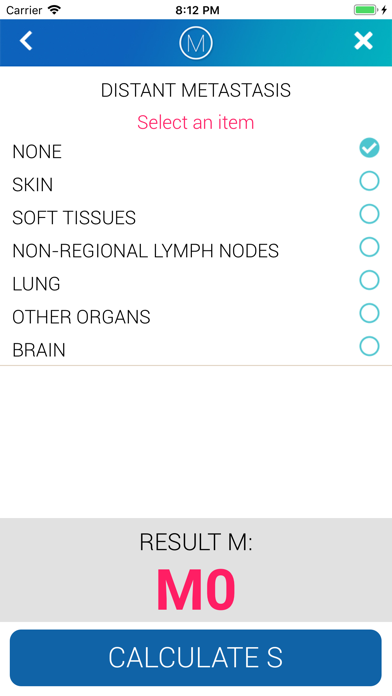 MelApp - Melanoma Staging Screenshot