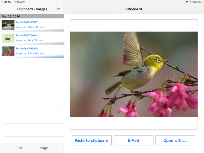 iClipboard - Clipboard manager