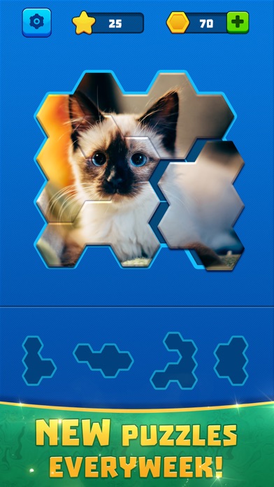 Hex Block Jigsawのおすすめ画像1