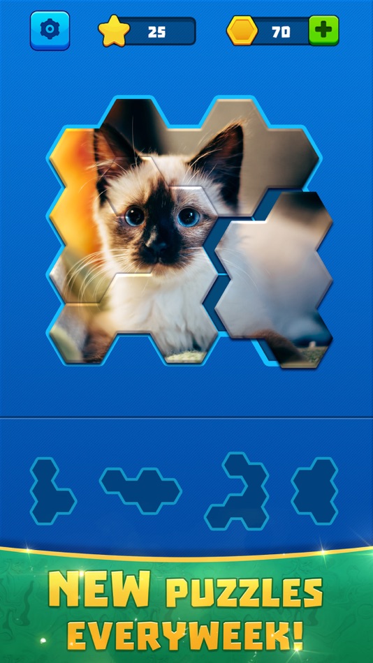 Hex Block Jigsaw - 2.0.0 - (iOS)
