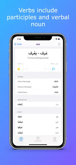 Game screenshot Levantine Arabic Verbs apk
