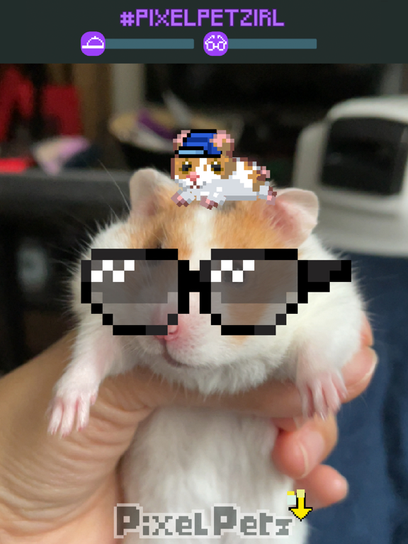 Pixel Petz iPad screenshot 4 - Social Networking app