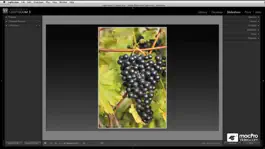 Game screenshot Early Course for Lightroom 3 hack