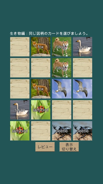 English Vocab Flip screenshot-6