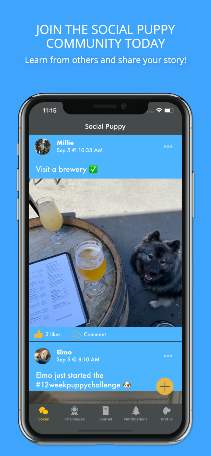 Social Puppy Dog Training App