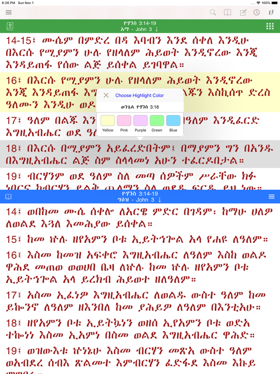 Hiyaw Qal AmlaK Bibles screenshot 3