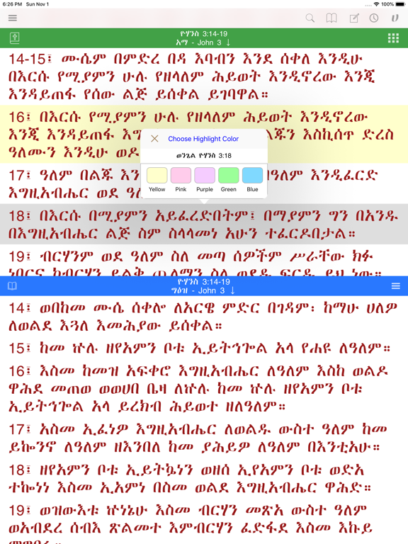 Screenshot #6 pour Hiyaw Qal AmlaK Bibles