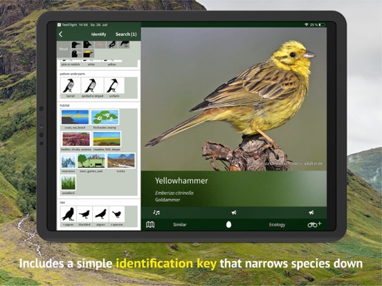 All Birds Scotland Photo Guide iPad screenshot 9 - Reference app