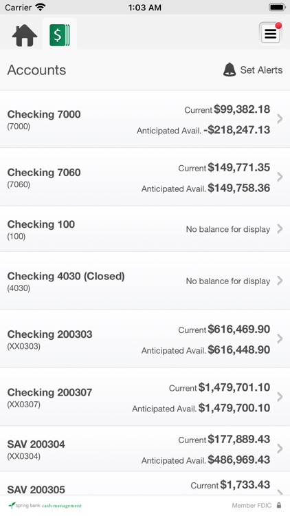 Spring Bank Cash Management screenshot-3