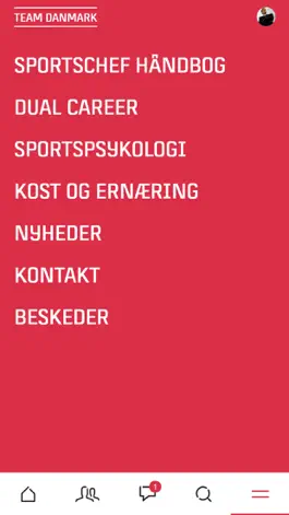 Game screenshot Team Danmark hack