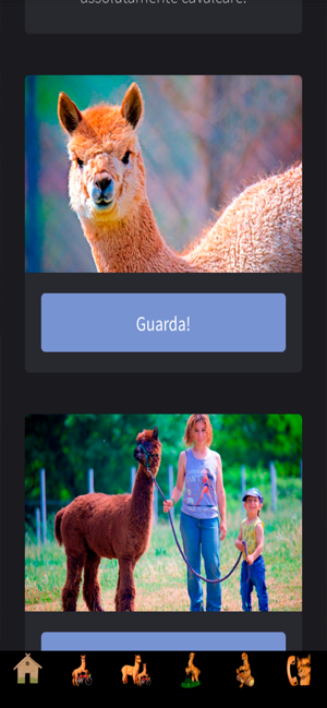 Athletic Alpacas(圖6)-速報App