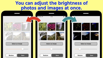 Adjust brightness of image Screenshot