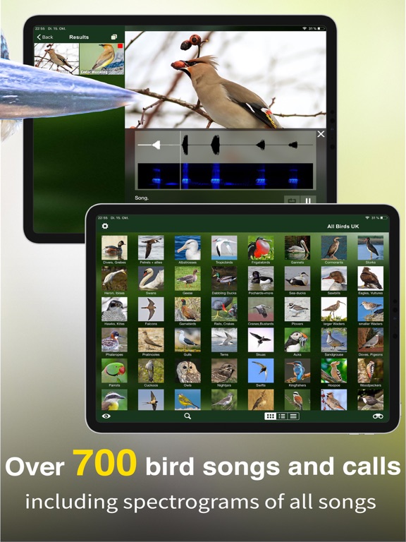 Screenshot #6 pour All Birds UK - the Photo Guide