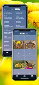 Butterfly Id - UK Field Guide screenshot #6 for iPhone