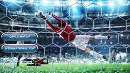 Game screenshot Nurex soccer : football 3d mod apk
