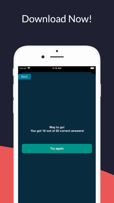 US Citizenship Test 2025 * Screenshot