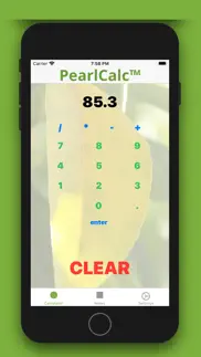 pearlcalc - mobile calculator iphone screenshot 1