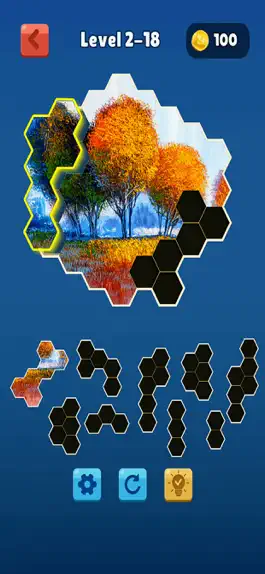 Game screenshot Hexa Jigsaw Collection HD apk