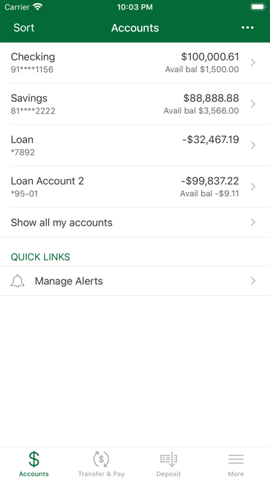 Madison County Bank Screenshot