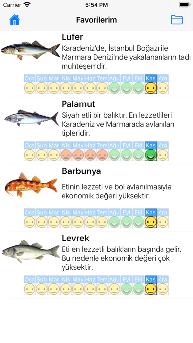 Balık Dünyası Screenshot