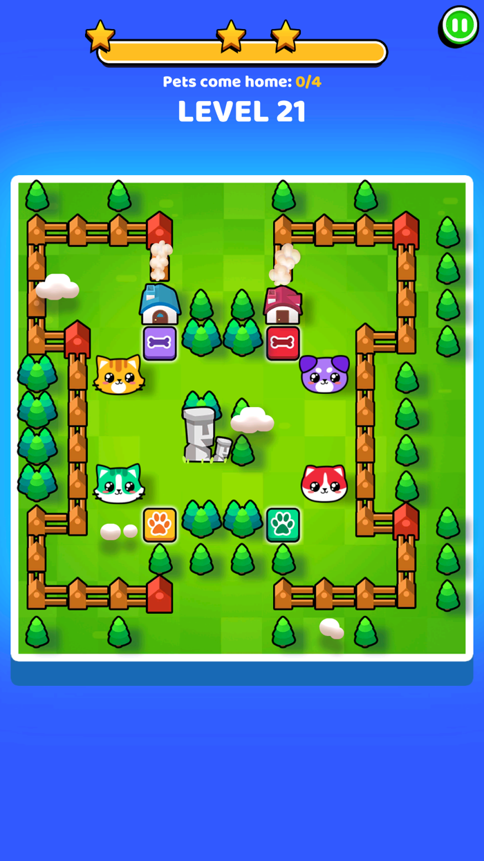 Pets Escape Dogs  Cats