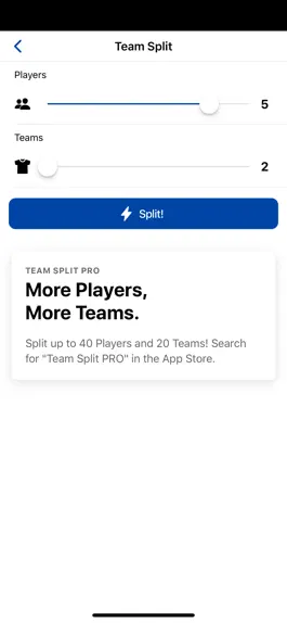 Game screenshot Team Split apk