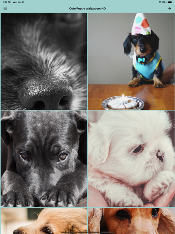 Screenshot #4 pour Fonds d'écran chiot mignon HD