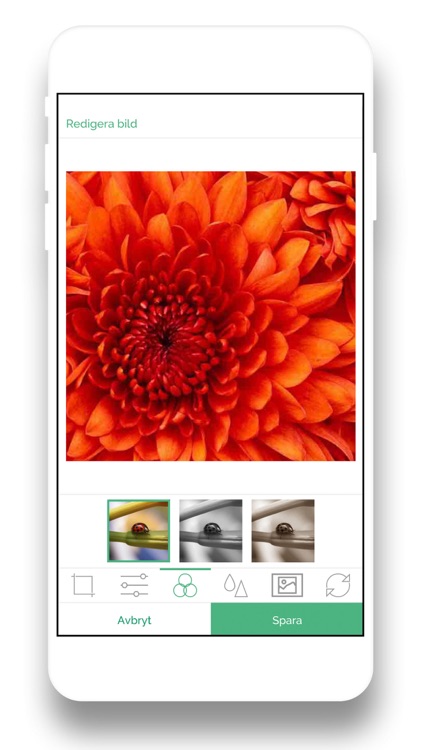 Fujifilm Framkallning screenshot-3