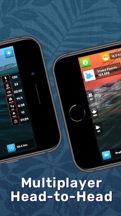 Swelldone - Virtual Row+Paddle screenshot-3