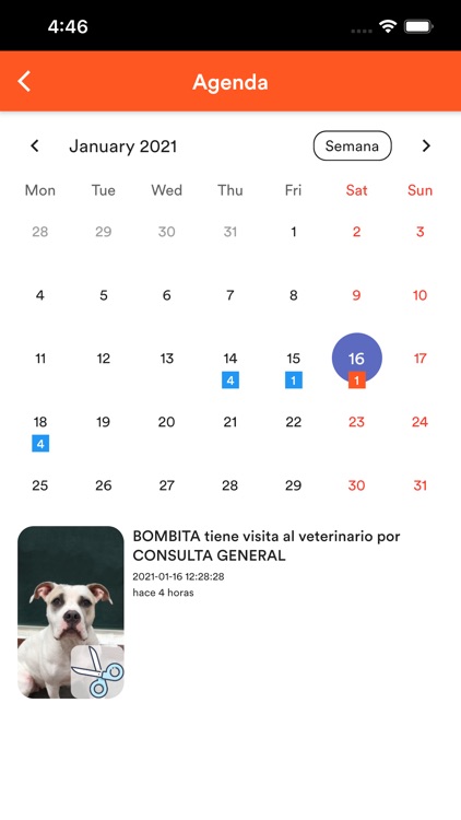 TornadoPet screenshot-5