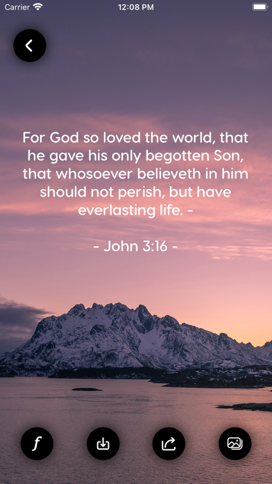Bible - Daily Verse + Widget Screenshot