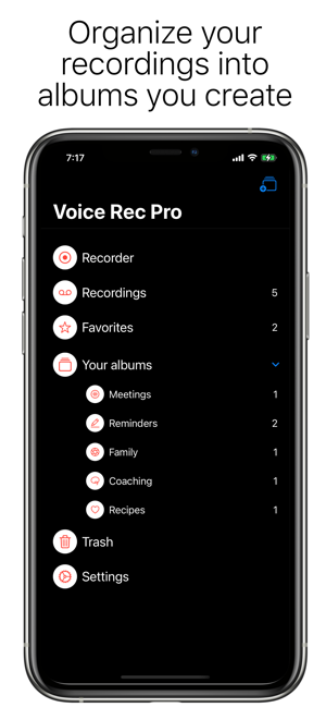 Screenshot ng Propesyonal na Voice Recorder