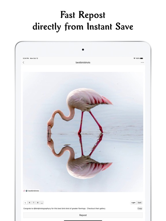 Instant Save iPad Capturas de pantalla