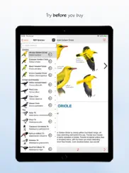 sasol ebirds south africa lite ipad images 2