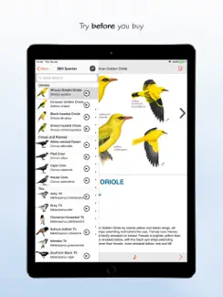 Sasol eBirds South Africa LITE iPad image 2