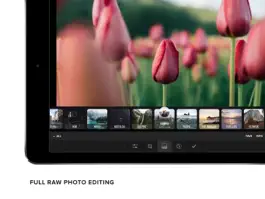 Game screenshot Priime RAW mod apk