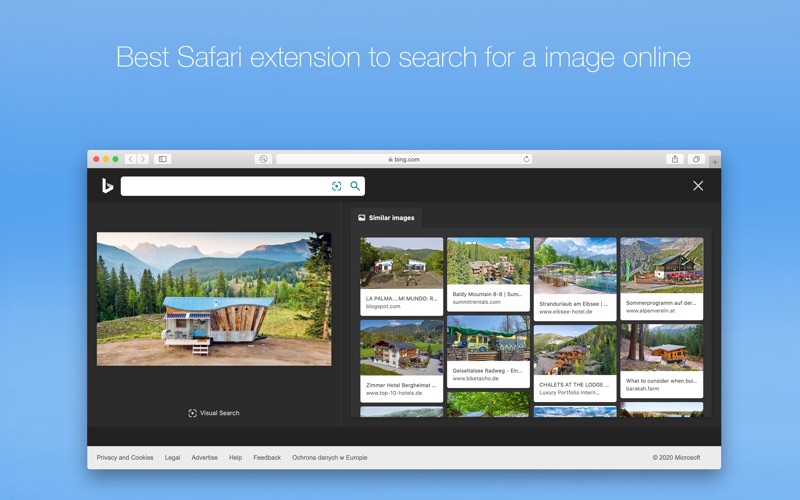 Screenshot #3 pour Online Image Finder for Safari