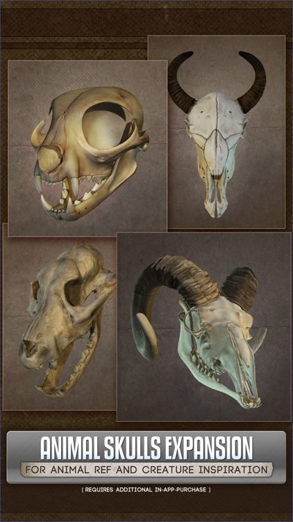 Handy Art Reference Tool screenshot-7