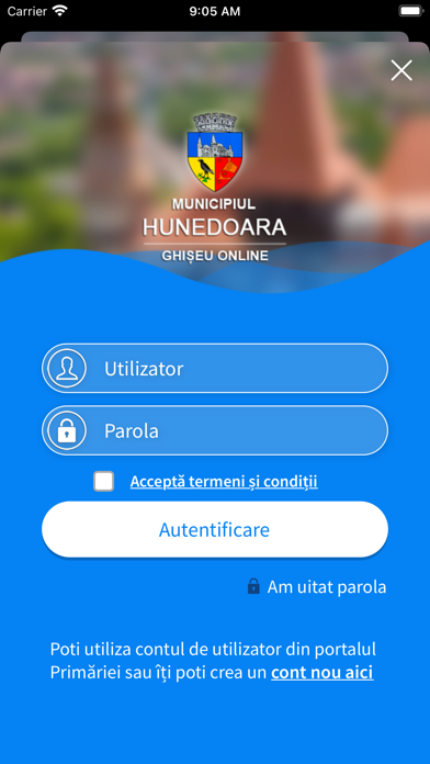 Municipiul Hunedoara Screenshot