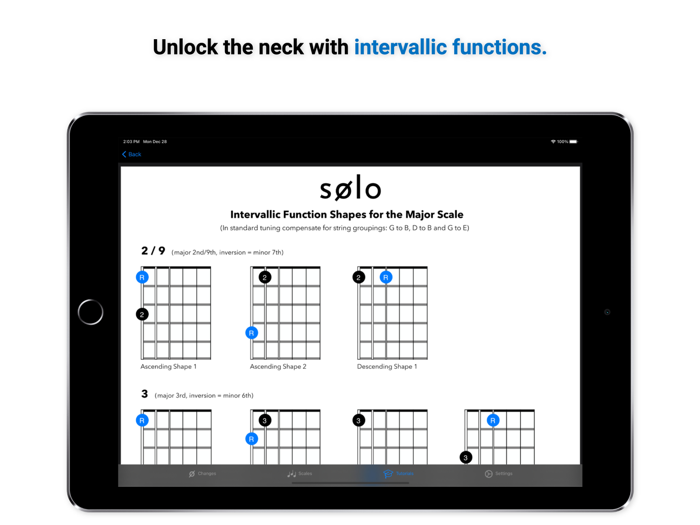 Solo - Fretboard Visualization