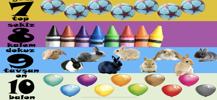 Renkler Şekiller Sayılar