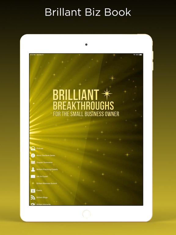Screenshot #4 pour BrilliantBizBook