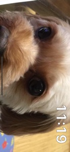 Smile Pet Clock screenshot #4 for iPhone