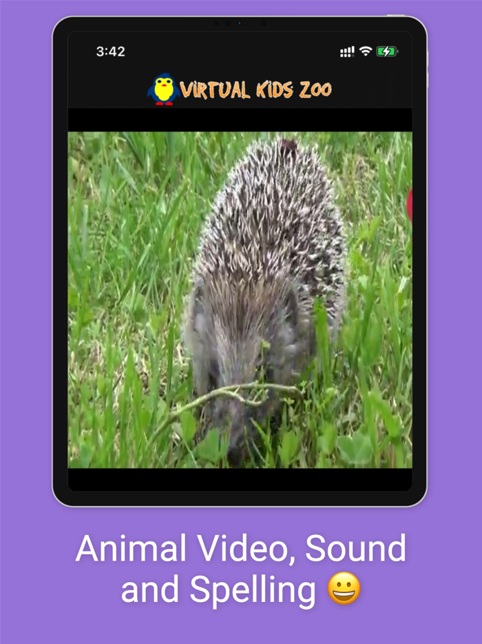 Virtual Kids Zoo