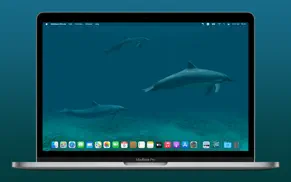 dolphins 3d lite iphone capturas de pantalla 2