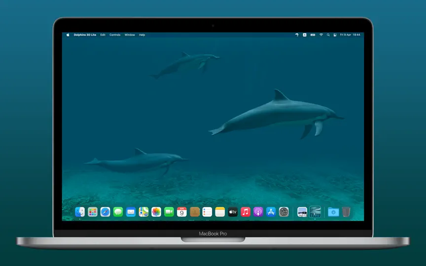 Скриншот Dolphins 3D Lite на iPhone 2