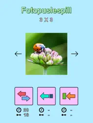 Fotopuslespill ipad bilder 1