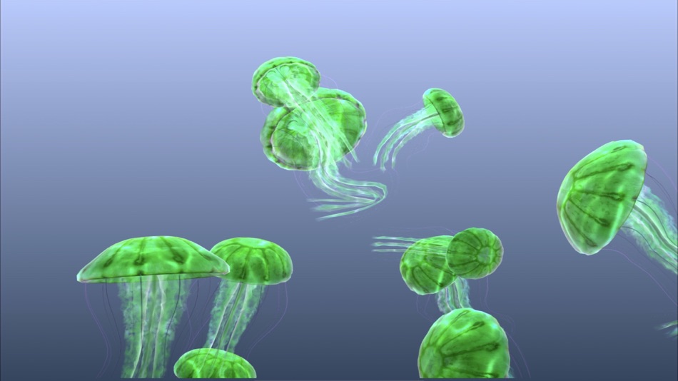 #4. Jellyfish Chrysaora (iOS) 由: Sensory App House Ltd